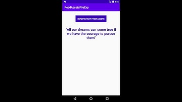 Android read a file from assets in java/Kotlin