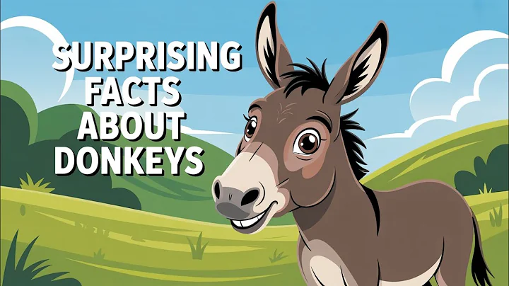 10 Surprising Facts About Donkeys You Probably Didn't Know