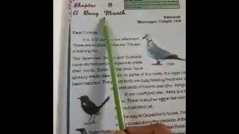 class 4th Evs. Topic: A busy month by romella dhar