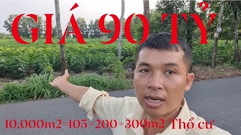10.000m2(105×200 có 300m2 thổ) Mặt Tiền Đường Mỹ Xuân Tóc Tiên siêu đẹp giá 90ty#0908156376 