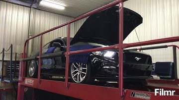 2017 S550 Mustang GT baseline Dyno Pull with Borla Catback only