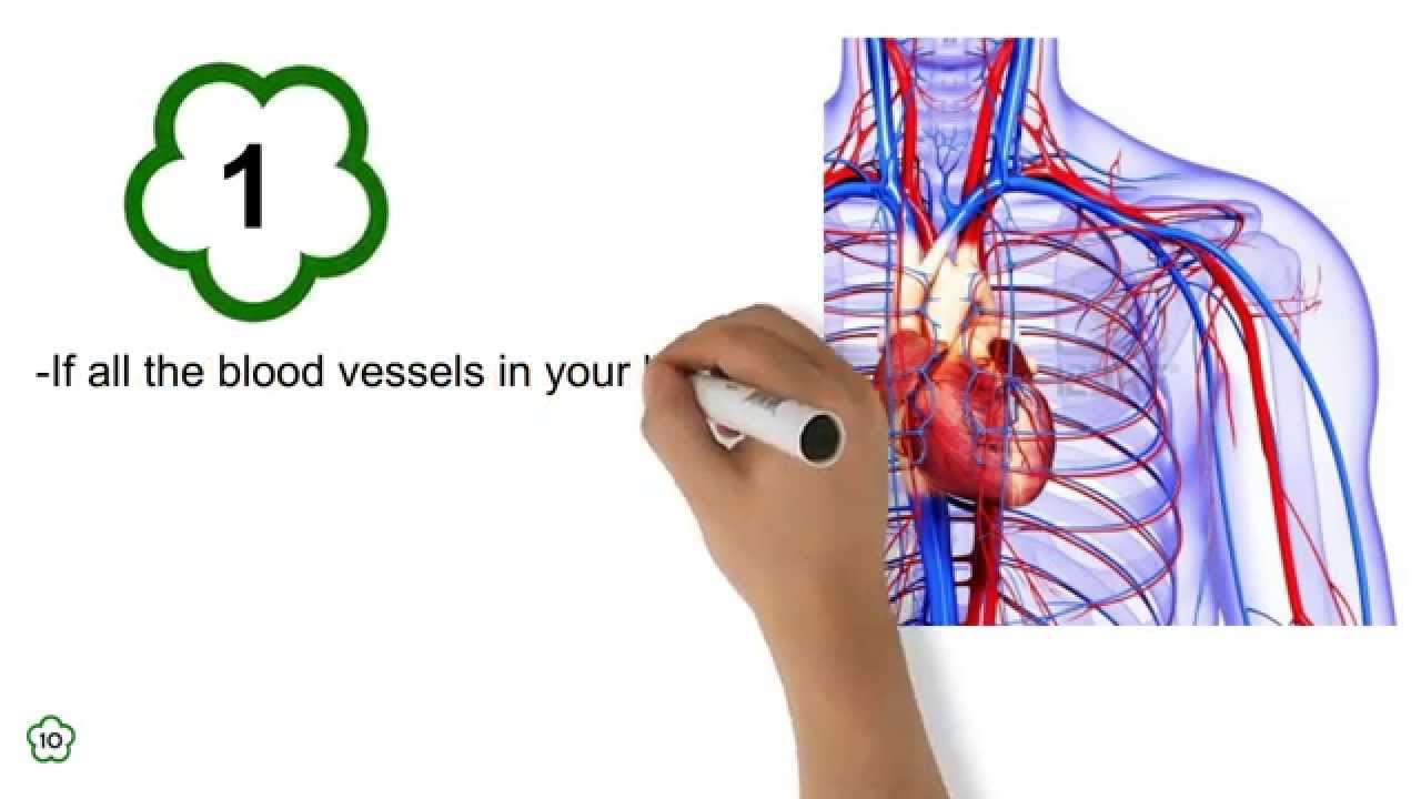 10 Amazing Facts About The Human Body - YouTube