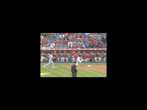 ３塁を踏んだ瞬間の大谷選手にみんながヒヤり…  #shorts #大谷翔平 #shoheiohtani #エンゼルス #angels #現地映像 #mlb #ホームラン