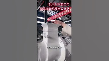 corn maize degerminator Peeling with polishing Machine Video Explanation Internal Structure