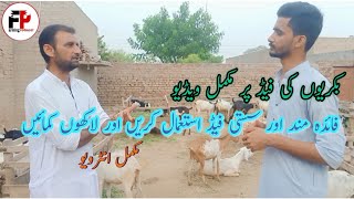 Goat Farming || Feeding of Goats || Daily Routine of Farm || Farming Protocol