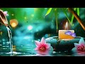 Relaxing Music for Sleep, Focus and Healing 🌿 Calming Nature Sounds for Work, Meditation and Peace