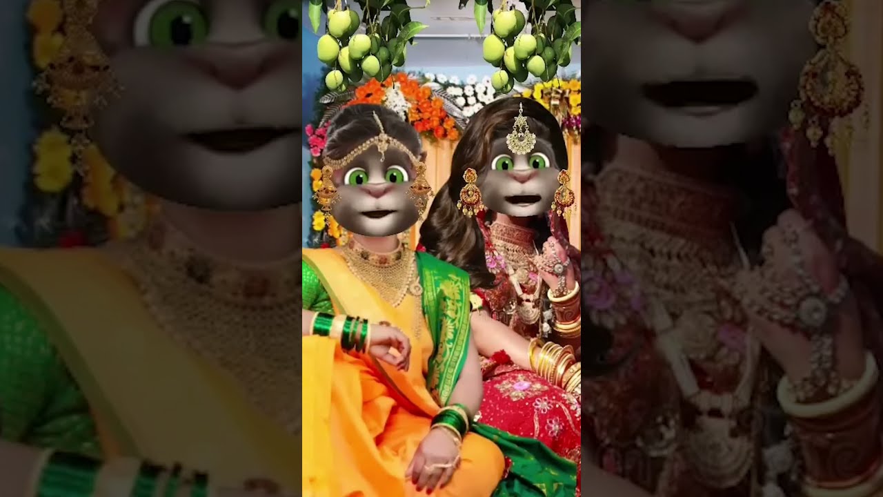 दुल्हा के मजेदार गारी गीत || दुल्हा गारी गीत || गारी गीत || भोजपुरी गीत || billu bhojpuriya