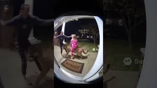 What if you caught your child riding a wild cougar? #whatif #doorbellcam  #dancreates  #aivideo
