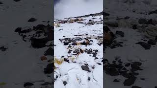 Download Lagu Entering the Death Zone 🏔️The South Col sits at a staggering 8,000 meters, marking the threshold.... MP3 Download Lagu Entering the Death Zone 🏔️The South Col sits at a staggering 8,000 meters, marking the threshold.... MP3