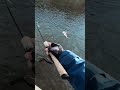Japan Fishing ASMR - Trout Fight#156🎣