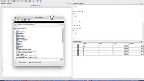 2. Console, Variable Browser, Command History, Basic Arithmetic Operators | Souryadeep Basak