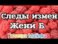 Деревенский дневник очень многодетной мамы /Леля Побируха /Следы измен Жени Б/Обзор /