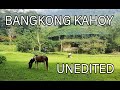BANGKONG KAHOY (UNEDITED)
