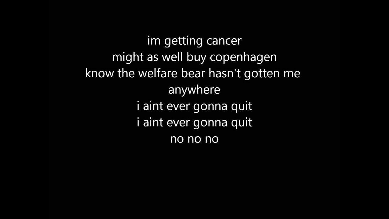 The Redneck Dipping Song (by: Big Rig)