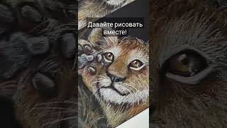 Смотрите Мои Мк! 🎨🦁❤️ #Art #Shortvideo #Painting #Artist #Oilpastel #Лев #Animals #Lion #Shorts