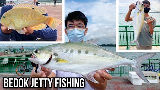 Bedok Jetty Fishing | Using Float/Cable Car and Apollo Rig | Tuskfishes and Queenfishes