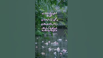 #writer #deeplines1