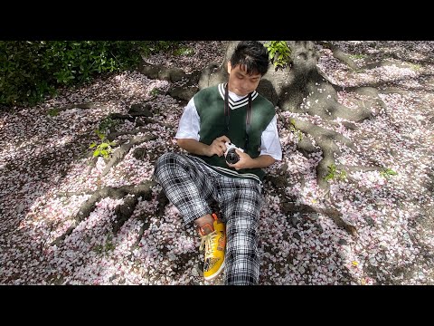 ドライフラワー (Vietsub, 中日 )- cover by Susu Buta