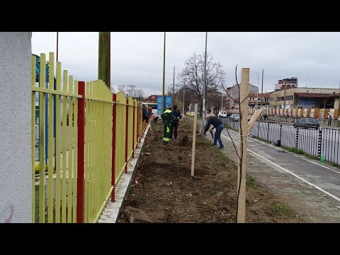 Video: Sådan Bevises Faderskab I Retten