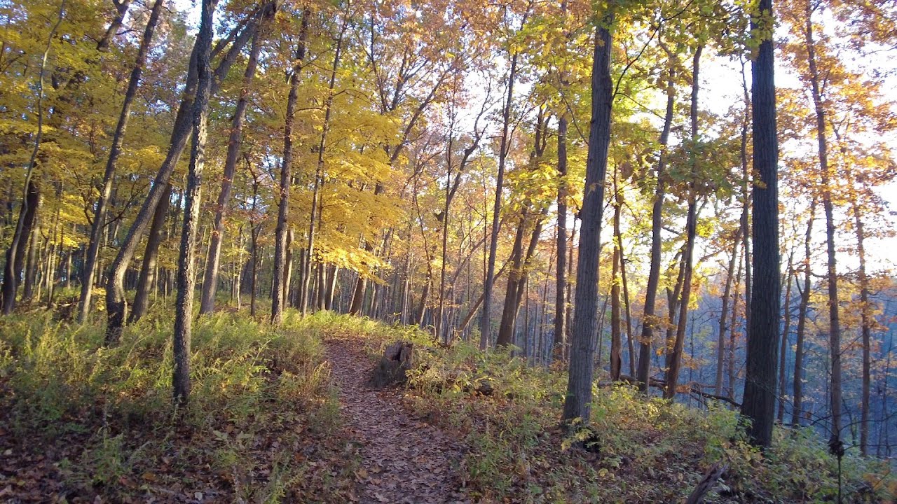 Ann Arbor Walk 4K 60FPS Autumn Sunrise at Black Pond Woods