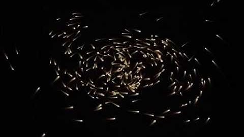 Dummy gravity simulation with more particles in 3D + alpha