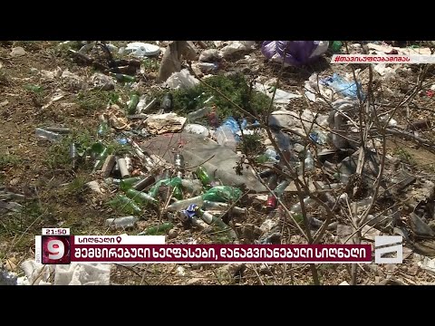 ნაგვით სავსე სიყვარულის ქალაქი | სიღნაღში დასუფთავების თანამშრომლებს ხელფასები შეუმცირეს