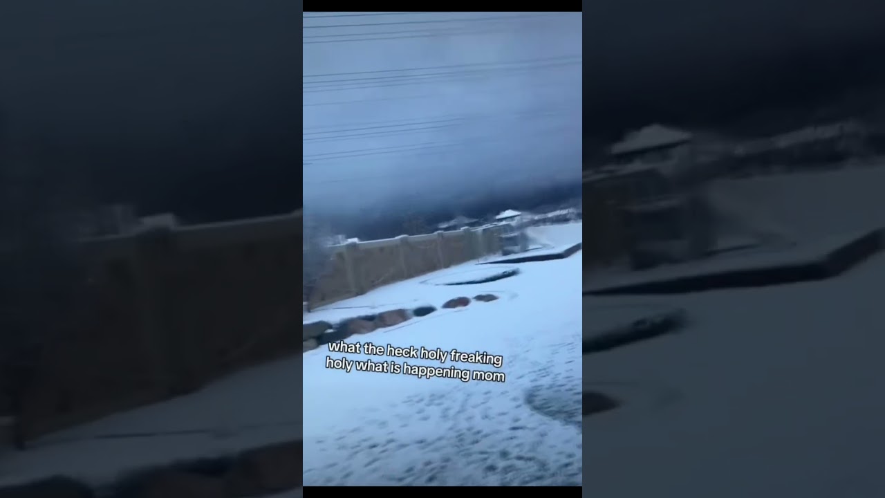 “Attack of the birds” 