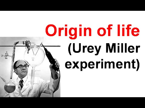 Urey Miller experiment | origin of life - YouTube