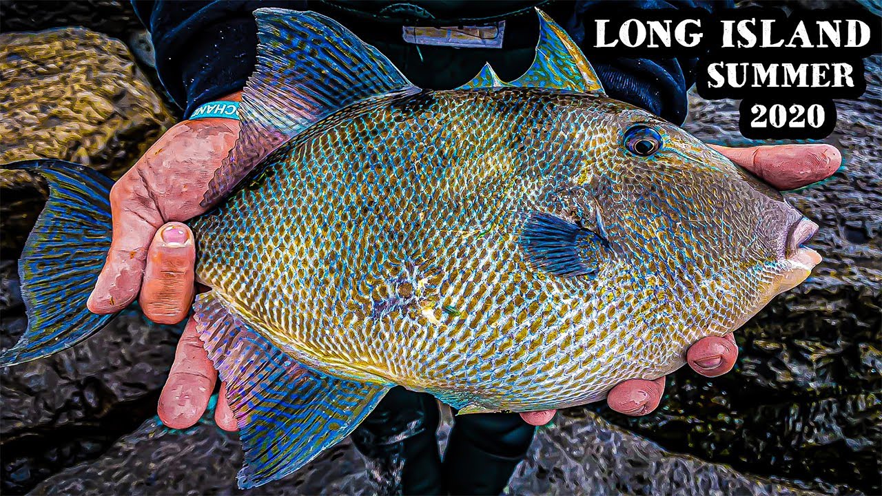 Fishing on Long Island, New York