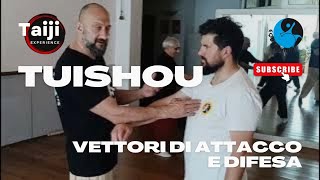 Taiji tuishou, vettori di attacco e difesa #taiji #tuishou #taichifirenze #taijiquan