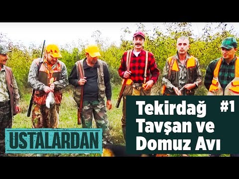 Tekirdağ Tavşan ve Domuz Avı  1.Bölüm  Ustalardan - Yaban Tv - Wildboar and Rabbit Hunting