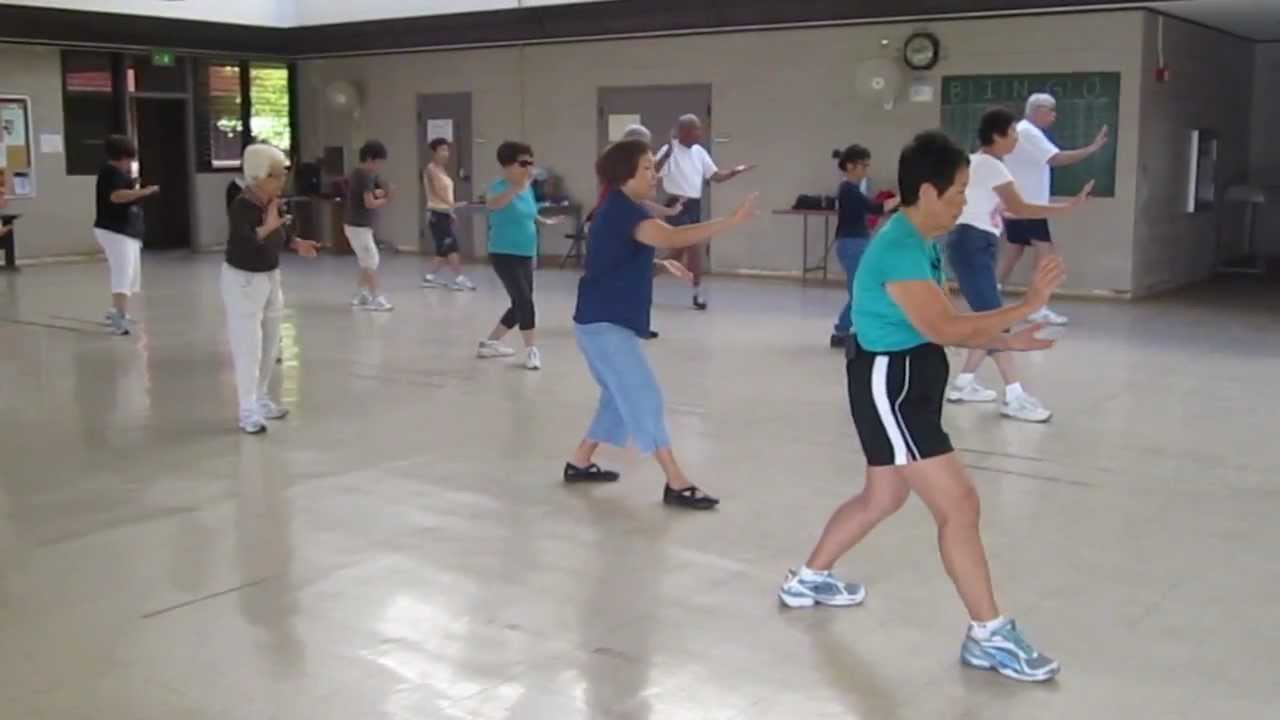 yang 24 short form tai chi calling out movements instructions yang short form 24
