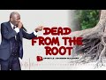 Audio messagedie from the root  apostle johnson suleman