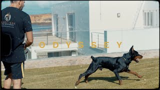 Odyssey Episode 6: Kenzo Handover | Protection Dogs Worldwide