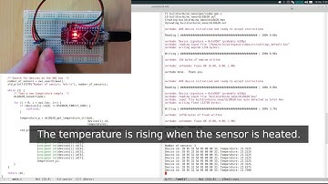 #5 Simba: Room temperature (DS18B20).