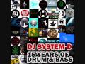 System-D - Dirty Woodstock (2003, unreleased track)