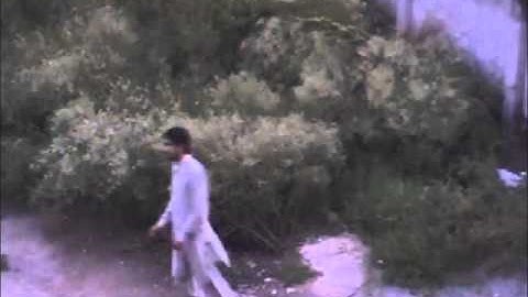 PTZ Object Tracking 5