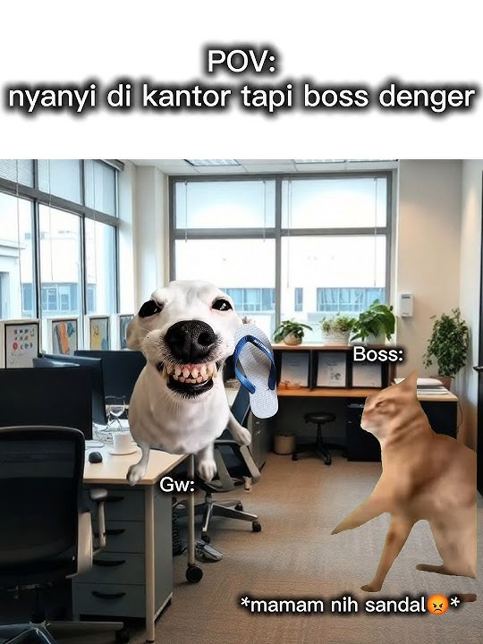 Ada yang pernah kejadian mirip seperti ini?😹#memekucing #memengakakkocak #memeindonesia