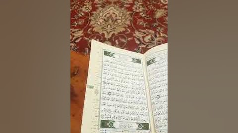 مسابقة كتاكيت برغاموا||تلاوة القرآن ||زينب عمراني 9 سنوات