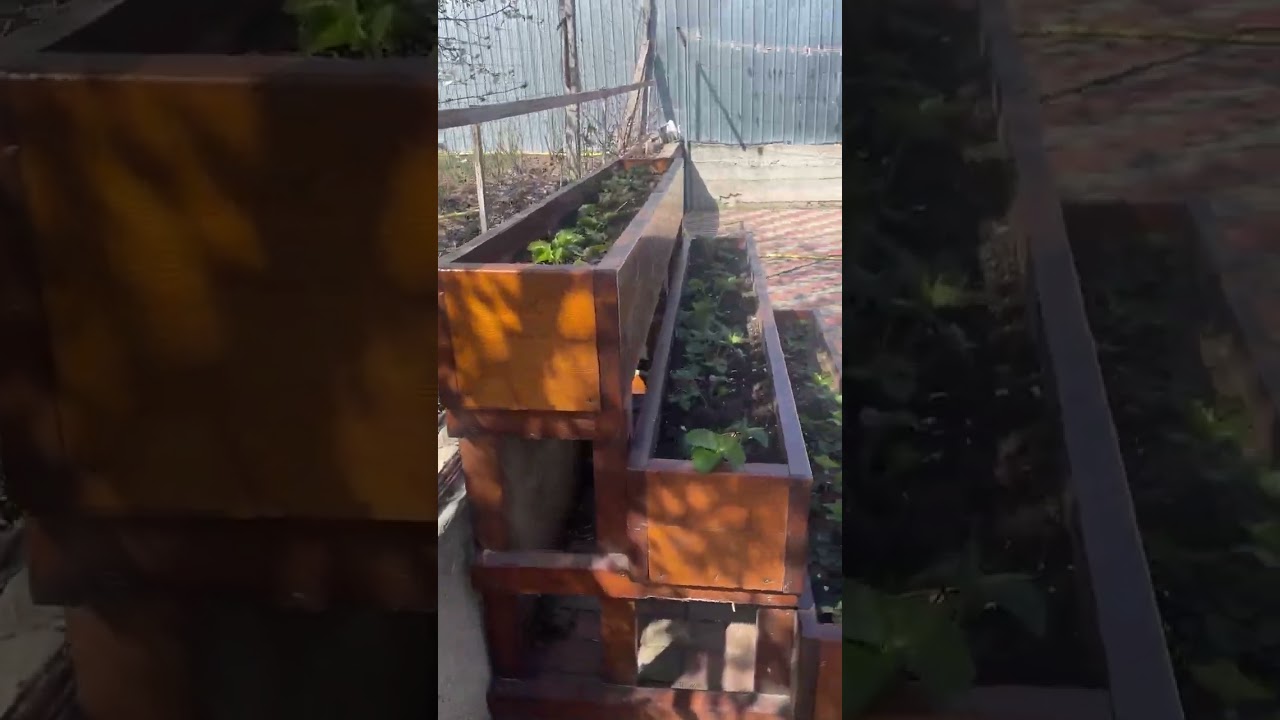 Curtea și grădina mea în aprilie: O privire de ansamblu