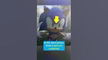 Did you know this about SONIC THE HEDGEHOG
