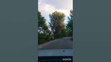 آيات من #سورة_البقرة ، #تلاوة_خاشعة ، للشيخ #سعد_الغامدي