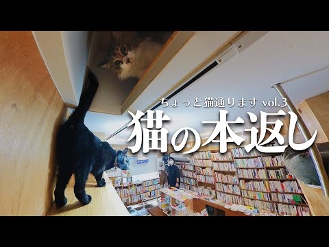 『ちょっと、猫とおります』Vol.3「Cat’s Meow Books」