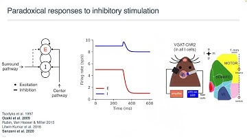 Brandeis Math Bio Seminar - Gabriel Ocker (Boston University)