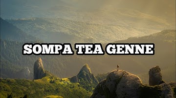 Sompa Tea Genne - Cover Kafri cipt Ansar S (lirik lagu) bugis viral