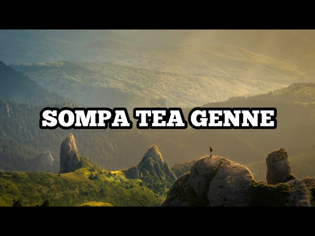 Sompa Tea Genne - Cover Kafri cipt Ansar S (lirik lagu) bugis viral class=