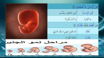 95- سورة عبس - شرح غريب القرآن - تقديم عماد بن أنور الديب