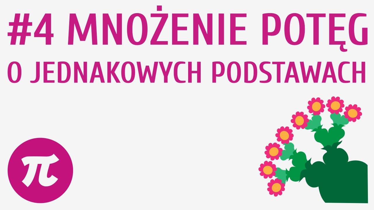 Matzoo Dodawanie I Odejmowanie Liczb Całkowitych