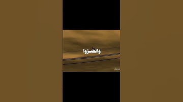 شيخ احمد نعينع قرآن كريم شيخ الأزهر الشريف