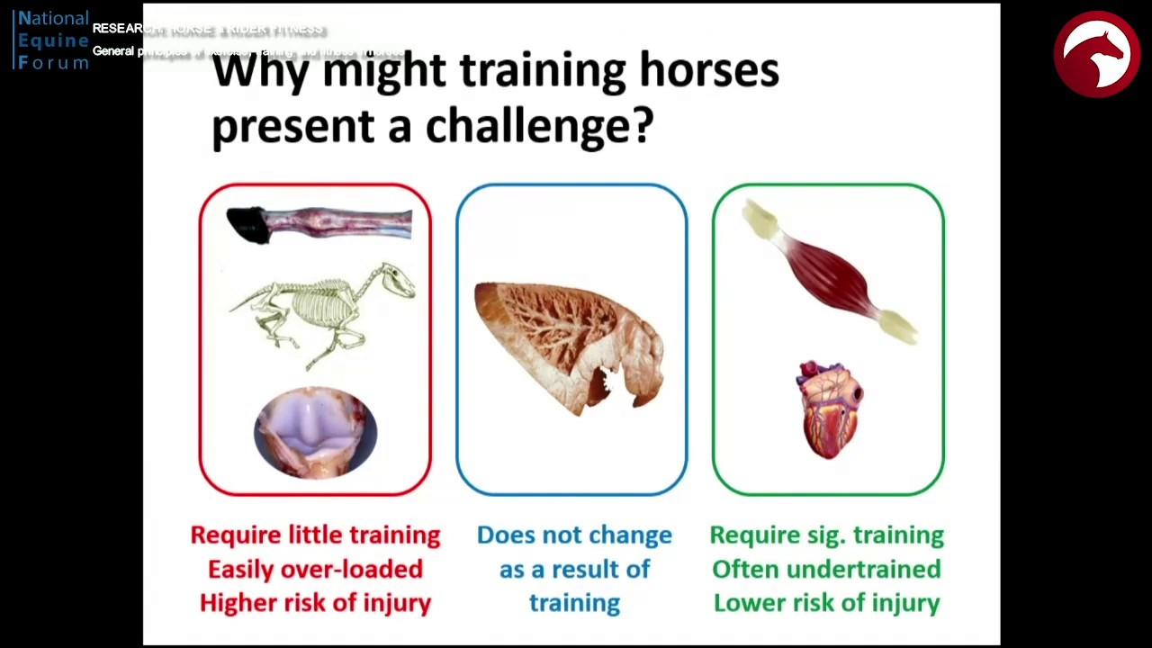 #NEF19 12 General principles of exercise, training and fitness in